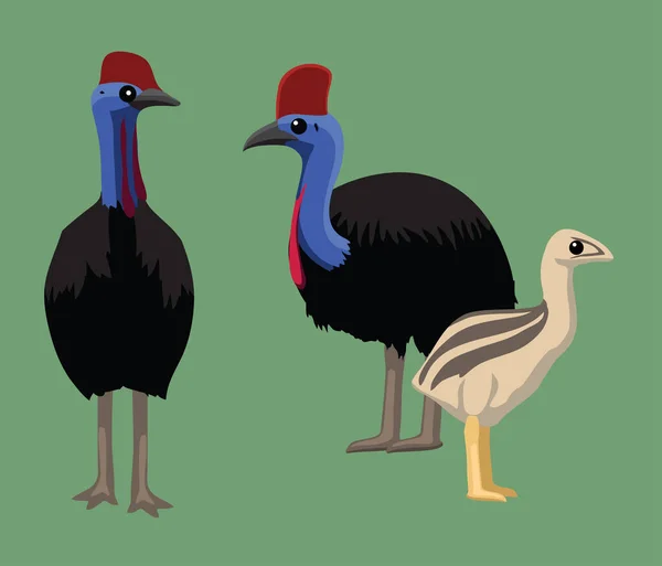 Roztomilé Cassowary Bird Cartoon Vector Illustration — Stockový vektor