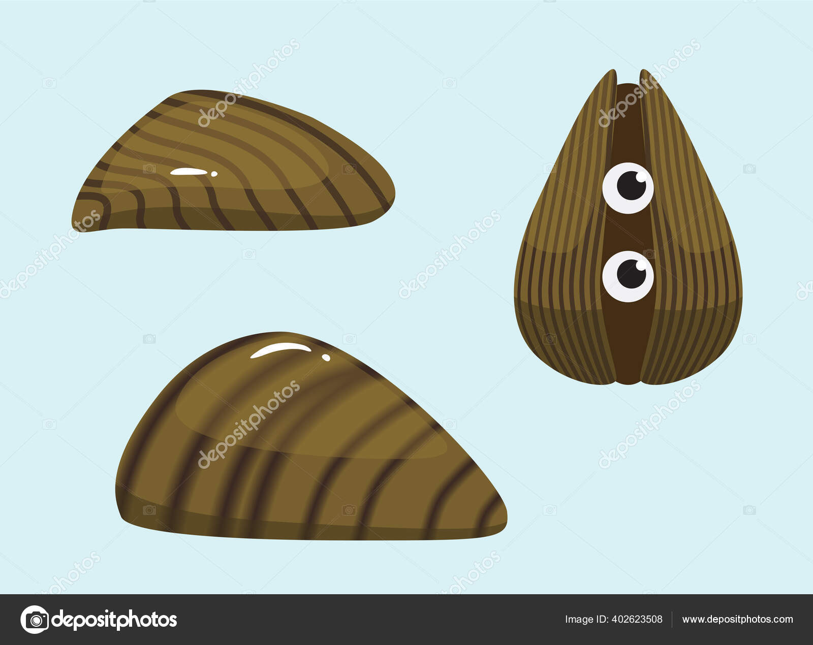 Invasive Species Zebra Mussel Vector Illustration Stock Vector Image by