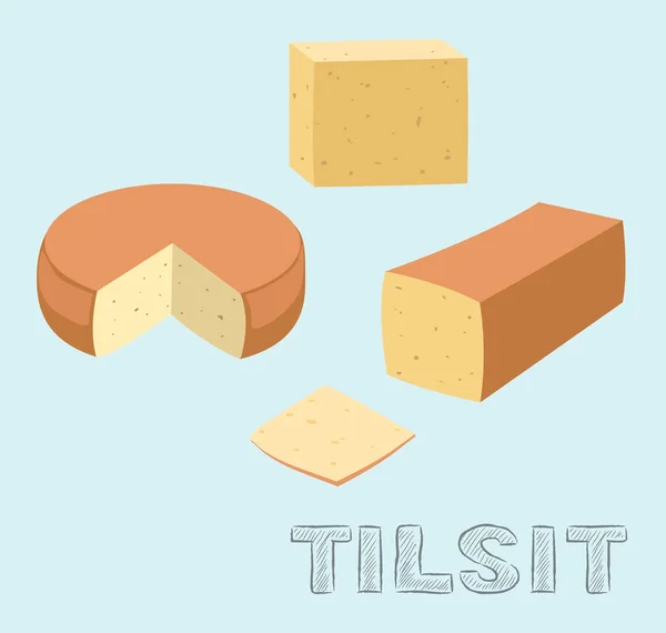 Food Cheese Type Tilsit Vector Illustration — Stockový vektor