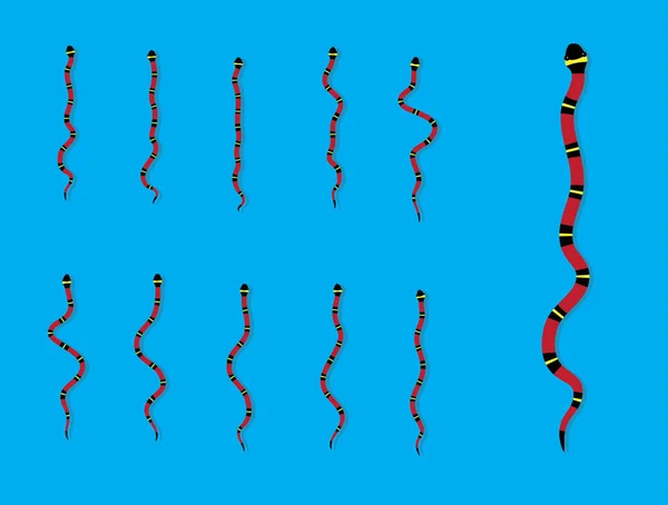 Animal Animation Sequence Milk Snake Cartoon Vector — Stock Vector