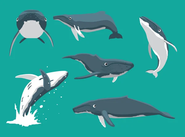 Whale Humpback Various Poses Cartoon Cute Vector — Stock Vector