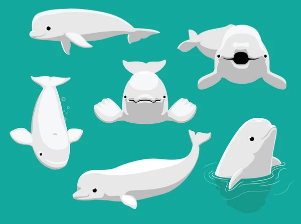 Ballena Beluga Varios Poses Vector Lindo Dibujos Animados — Vector de stock