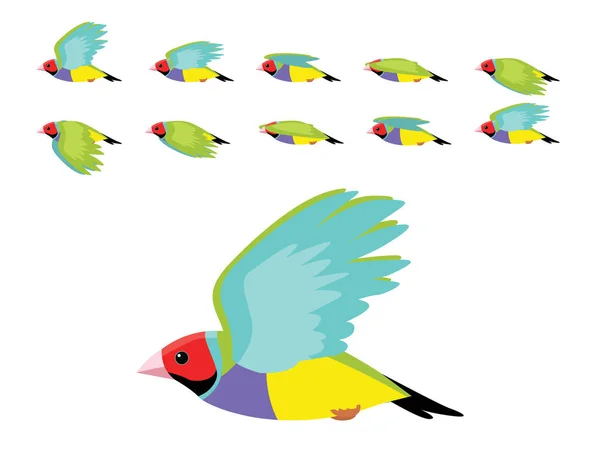 Gouldian Finch Flying Animation Cute Cartoon Vector Ilustração —  Vetores de Stock
