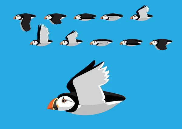 Puffin Vector Art Stock Images | Depositphotos Puffin Vector Art Stock Images | Depositphotos