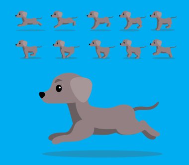 Hayvan Animasyon Sıralaması Köpek Weimaraner Çizgi Film Vektörü