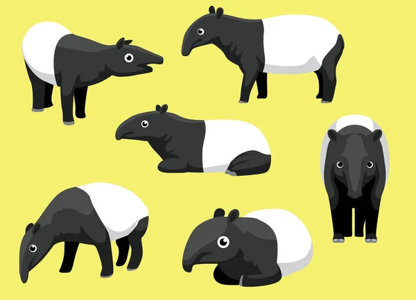 Diverses Poses Tapir Malais Dessin Animé Vecteur Mignon — Image vectorielle