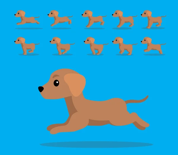 Анімація Тварин Послідовність Собака Візла Мультфільм Вектор — стоковий вектор
