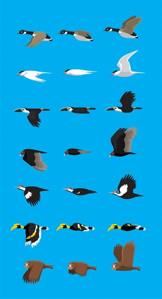 Verschiedene Vögel Fliegen Sequenz Niedliche Cartoon Vector Illustration Set — Stockvektor