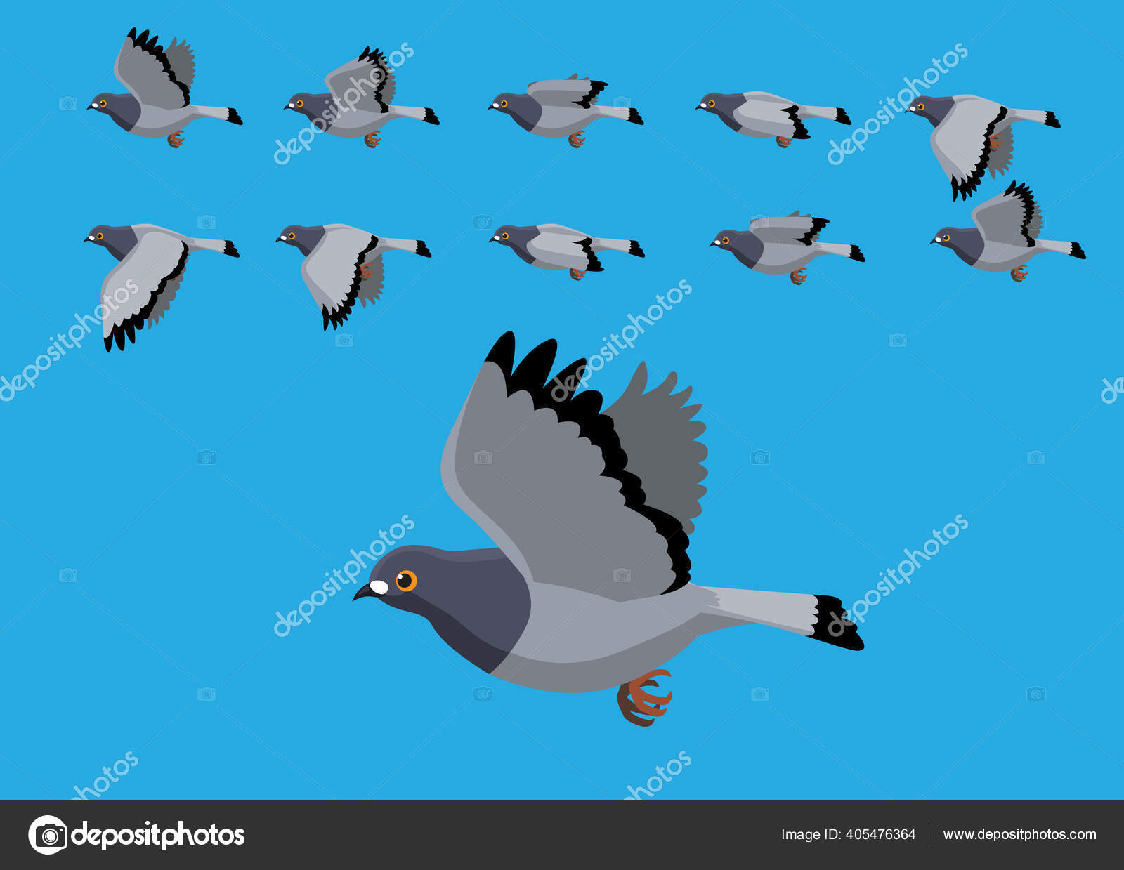 Pigeon Flying Motion Animation Sequence Cartoon Vector Illustration Stock  Vector Image by ©Punnawich #405476364