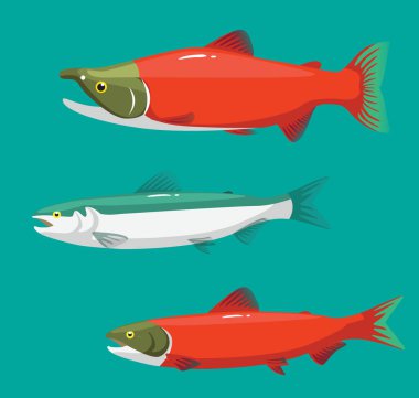 Somon Renkleri Sahne Değiştirme Çizgi Filmi Vektör İllüstrasyonu