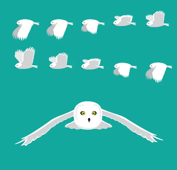 Snowy Owl Flying Animation Sequence Cartoon Vector — 스톡 벡터