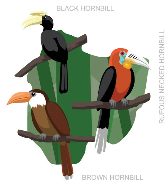 Bird Brown Hornbill Set Cartoon Vector Illustration — Stock Vector