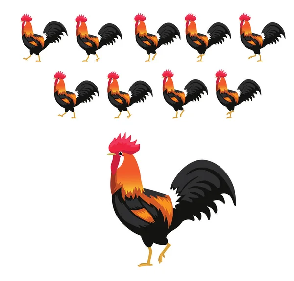 Séquence Animation Marche Coq Vecteur Bande Dessinée — Image vectorielle