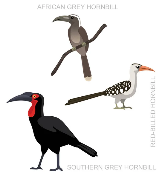 Vogel Afrikanischer Erdhornvogel Set Cartoon Vector Illustration — Stockvektor