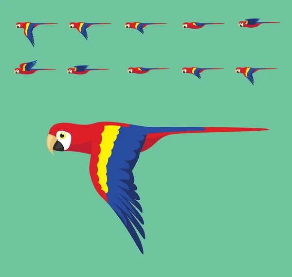 Animação Macaw Voando Bonito Cartoon Vector Ilustração —  Vetores de Stock