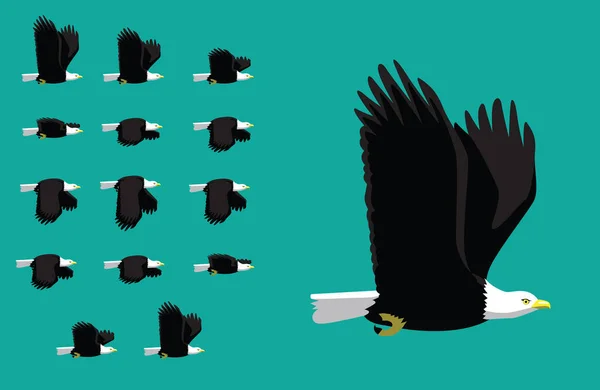 Ακολουθία Κινουμένων Σχεδίων Των Ζώων American Eagle Flying Cartoon Vector — Διανυσματικό Αρχείο