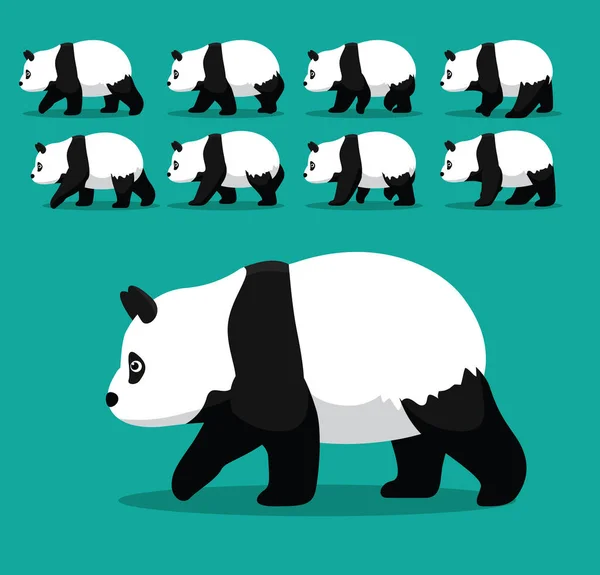 Animal Animation Sequence American Panda Bear Walking Cartoon Vector