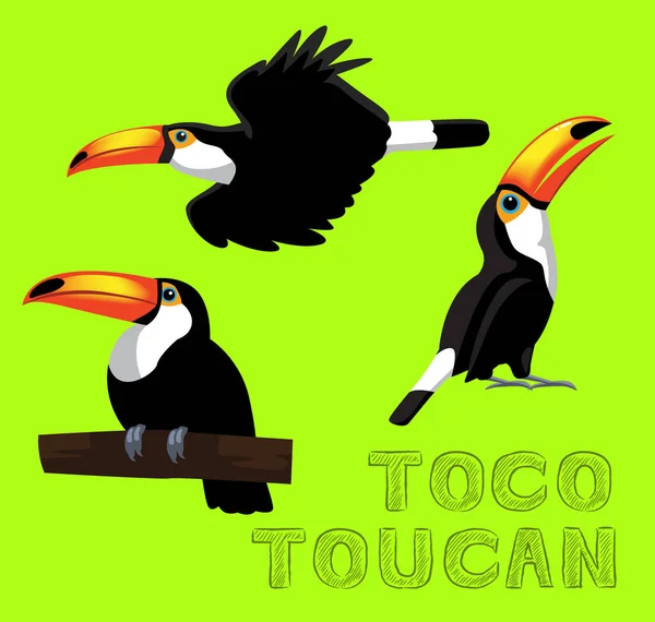 Bird Toco Toucan Dibujos Animados Vector Ilustración — Archivo Imágenes Vectoriales