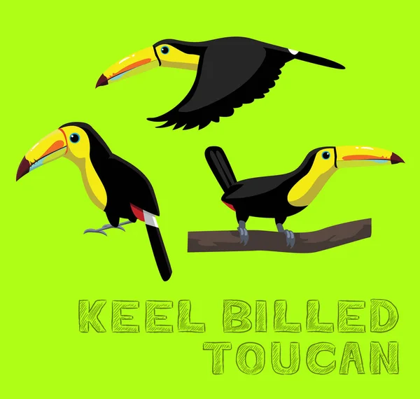 Вектор Мультипликации Bird Keel Billed Toucan — стоковый вектор