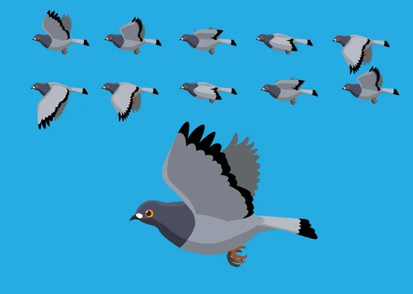 Pigeon Flying Motion Animation Sequence Cartoon Vector Illustration