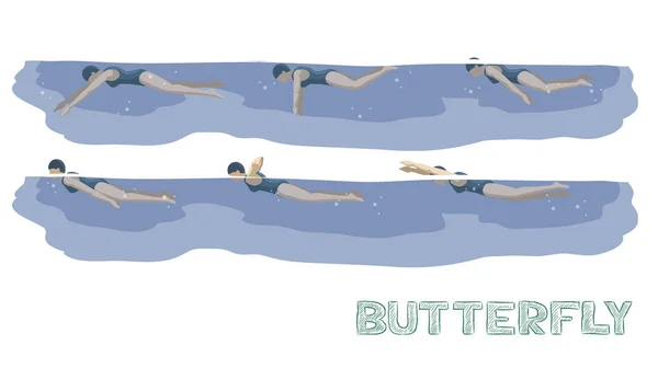 Yüzme Havuzu Biçimi Kelebek Hareketi Kadın Animasyon Seti — Stok Vektör