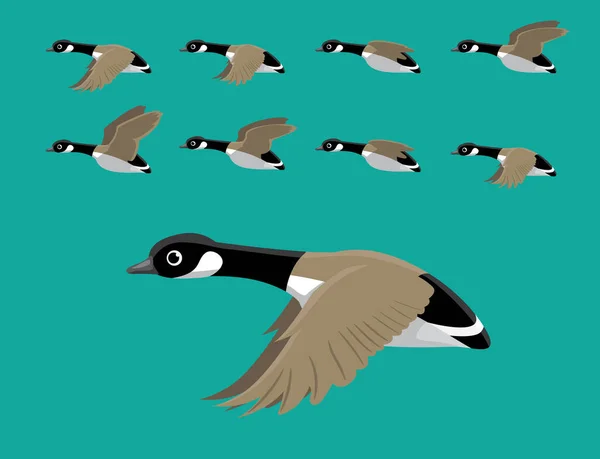 Canadá Geese Flying Animation Sequence Cartoon Vector — Vetor de Stock