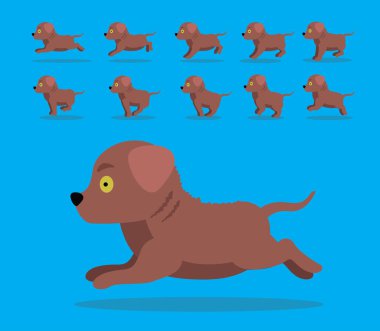 Hayvan Animasyon Dizisi Köpek Chesapeake Bay Retriever Çizgi Filmi Vektörü