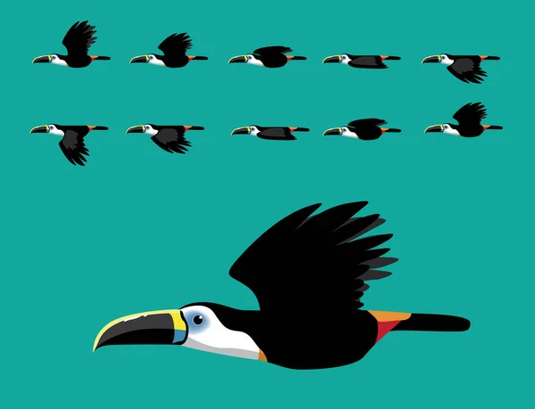 Illustration Vectorielle Dessin Animé Mignon Toucan Flying Animation — Image vectorielle