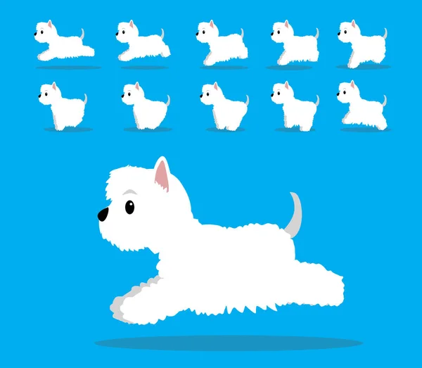 Animation Animale Séquence Chien West Highland White Terrier Cartoon Vector — Image vectorielle