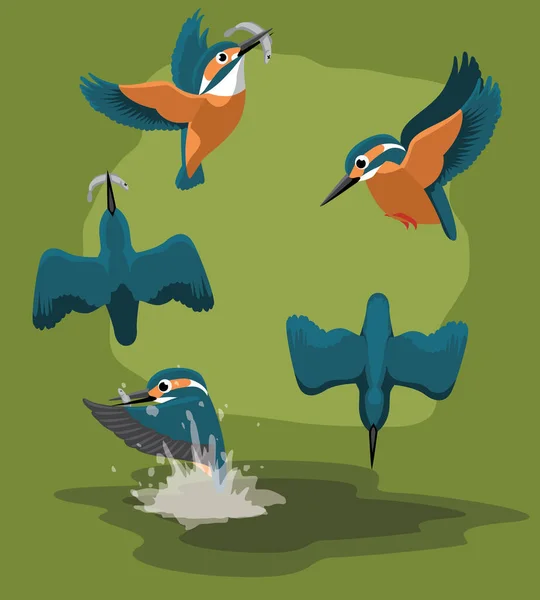 Kingfisher Catch Fish Cartoon Vector Animation Sequence — 스톡 벡터