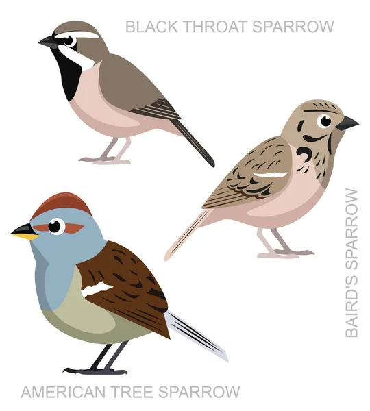 Cute Bird Black Throat Sparrow Set Cartoon Vector — Vetor de Stock