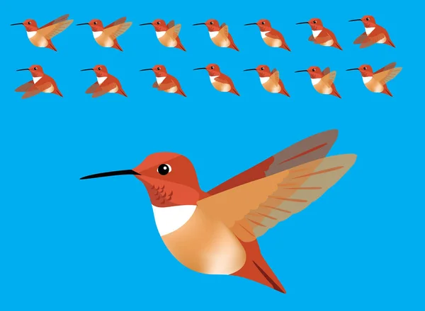Sekwencja Animacji Zwierząt Ptak Latający Rufous Koliber Cartoon Vector — Wektor stockowy