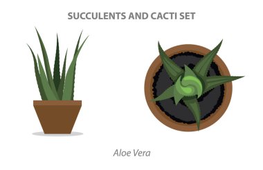 Veri alınıyor. Birkaç saniye bekle ve tekrar kes ya da kopyalamaya çalış..