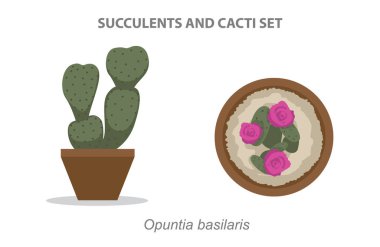 Opuntia bazilaris succulent and Cacti Set Vektör Illustration