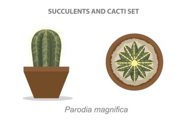 Parodi Magnifica Succulent ve Cacti Vektör Resmini Ayarladı