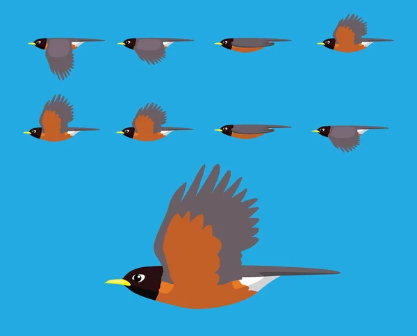 Fågel Amerikanska Robin Flying Cartoon Vektor Animation Ram — Stock vektor
