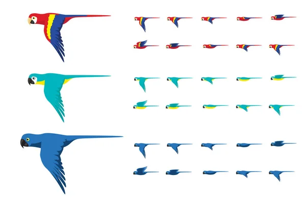 Animação Várias Cores Arara Voando Bonito Ilustração Vetor Dos Desenhos —  Vetores de Stock