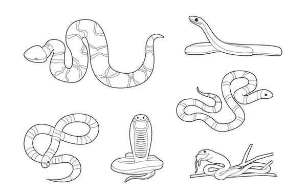 Diversas Serpientes Dibujos Animados Vector Para Colorear Conjunto Libros — Archivo Imágenes Vectoriales