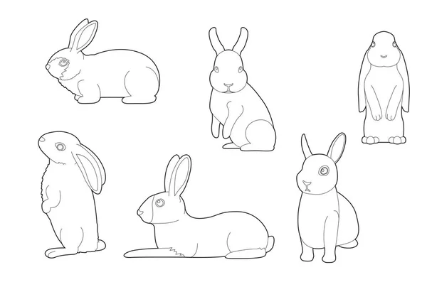 Verschiedene Kaninchen Cartoon Vector Malbuch — Stockvektor