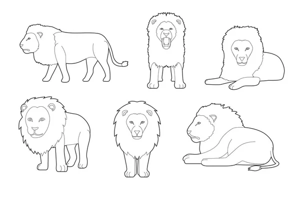 Lion Various Cartoon Vector Coloring Book — Stock Vector