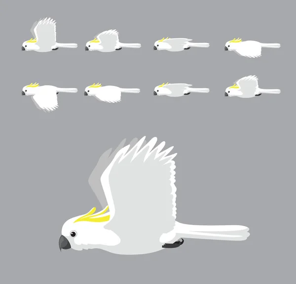 White Sulphur Crested Cockatoo Flying Animation Sequence Cartoon Vector — стоковий вектор