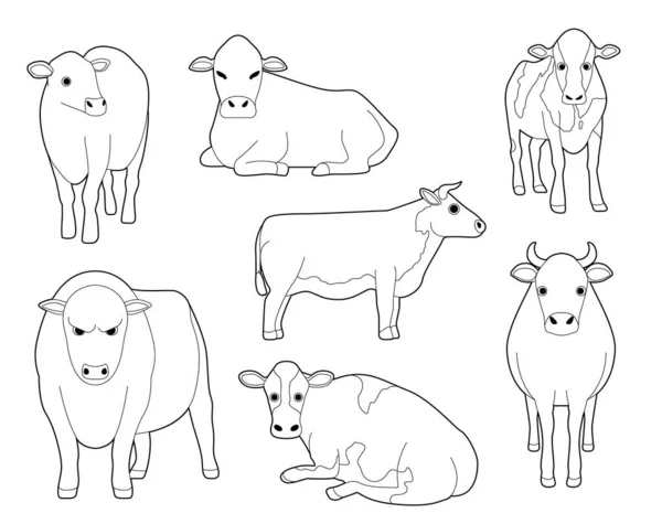 Vache Domestique Mignon Caricature Vectoriel Coloriage Livre — Image vectorielle