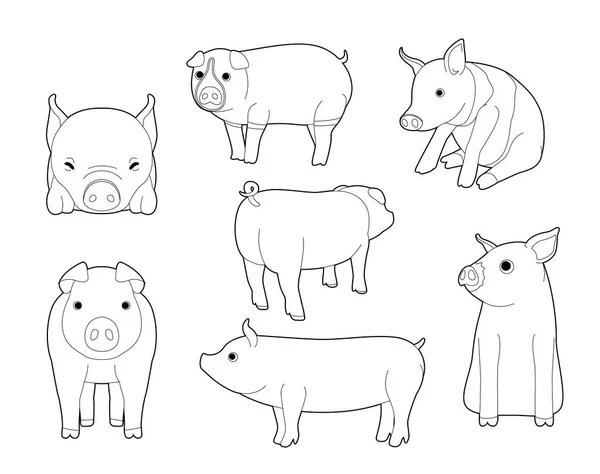 Divers Porcs Domestiques Mignon Caricature Vectoriel Coloriage Livre — Image vectorielle