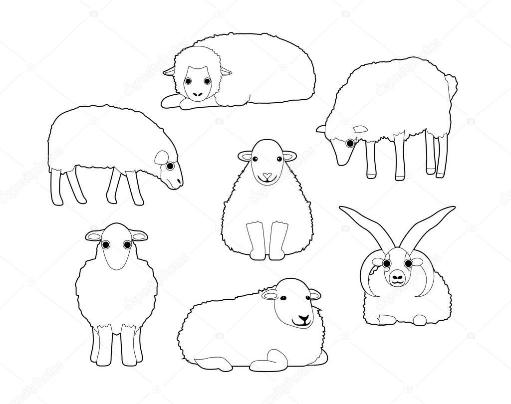 Various Domestic Sheep Cute Cartoon Vector Coloring Book