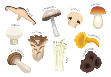 Various Edible Mushroom Kind Cartoon Vector clipart