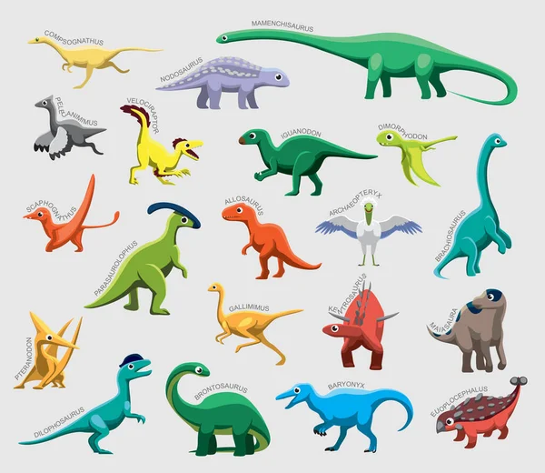 Dinosaurus Set Diverse Soort Identificeren Cartoon Vector — Stockvector