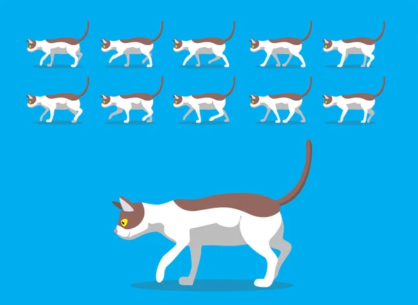 Animal Animation Sequence Cat Cornish Rex Cartoon Vector — Vetor de Stock