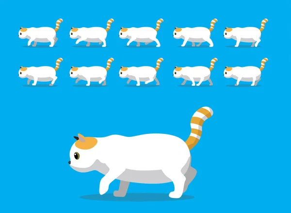 Sequência Animação Animal Exotic Shorthair Cat Cartoon Vector — Vetor de Stock