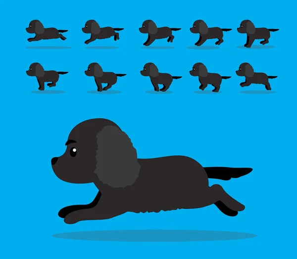 Анімація Тварин Послідовність Собака Американський Водний Спанієль Мультфільм Вектор — стоковий вектор