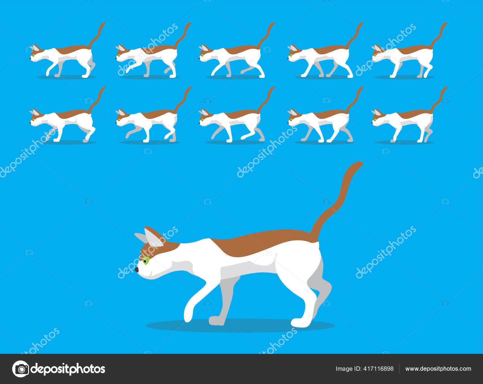 动物动画序列东方猫卡通病媒 图库矢量图像 C Punnawich 动物动画序列东方猫卡通病媒 图库矢量图像 C Punnawich